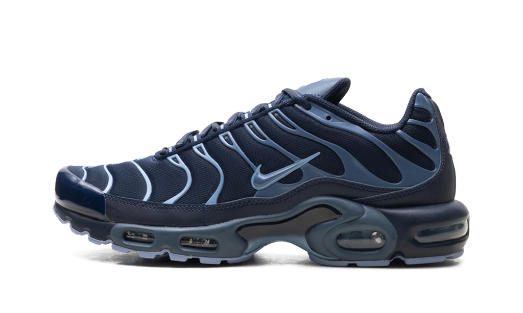 Air Max Plus "Obsidian / Diffused Blue" IM6601 451