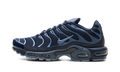 Air Max Plus "Obsidian / Diffused Blue" IM6601 451