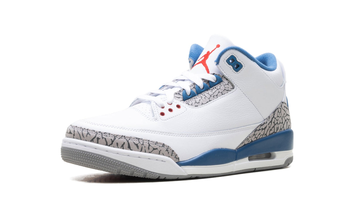 Air Jordan 3 Retro Sneakers - White and Blue with Elephant Print