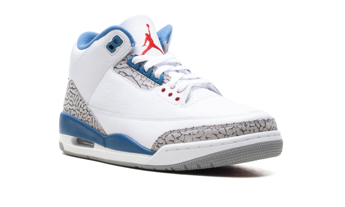 Air Jordan 3 Retro Sneakers - White and Blue with Elephant Print