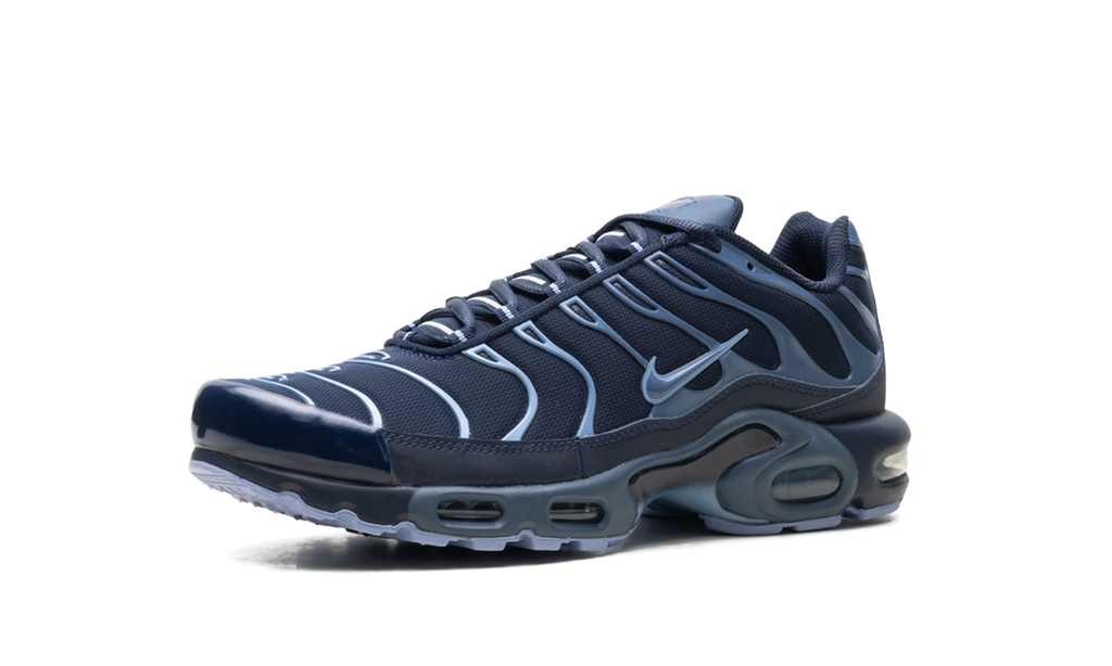 Air Max Plus "Obsidian / Diffused Blue" IM6601 451