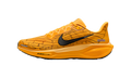 Air Zoom Pegasus 41 "Modern Mayfly" IH3257 700
